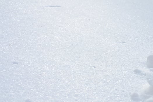 Winter background with snow. Christmas and New Year holidays background photo