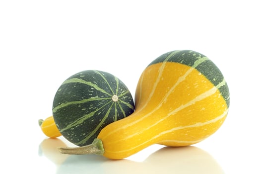 Two of pumpkins photo