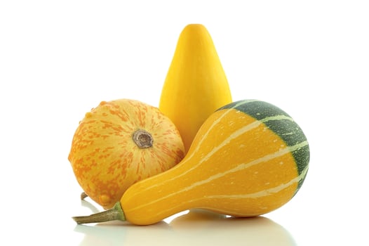 Some of pumpkins photo