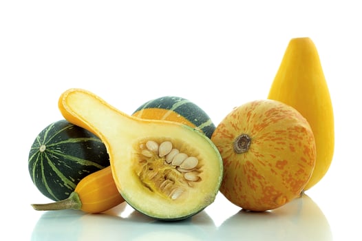 Pumpkins and seeds photo