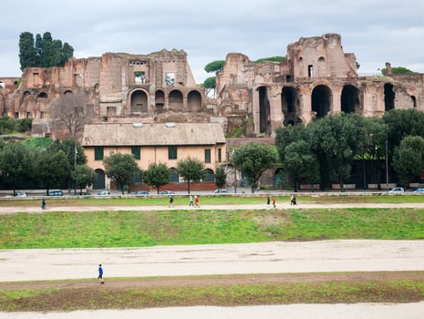 Domus Severiana and Circus Maximus on Palatine photo