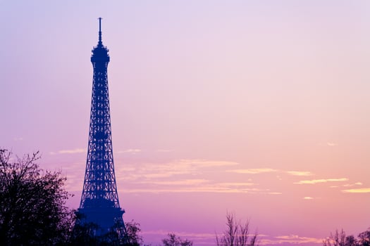 eiffel tower in Paris photo