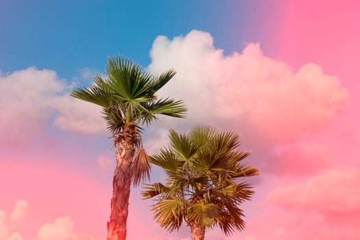 Natural background with pink clouds and palm trees photo