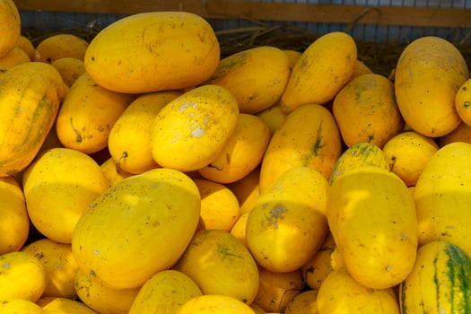 Natural background with lots of yellow watermelons photo
