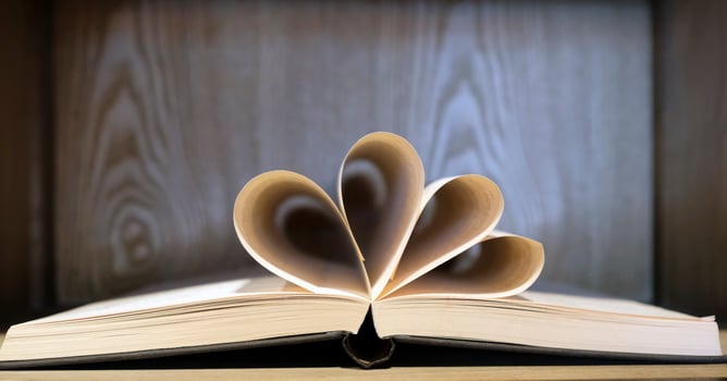 Book pages folded into a bouquet in an open book photo