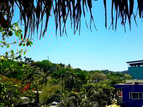 Tropical Sayulita Skyline photo