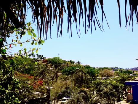 Tropical Sayulita Skyline photo