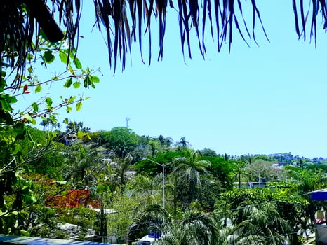 Tropical Sayulita Skyline photo