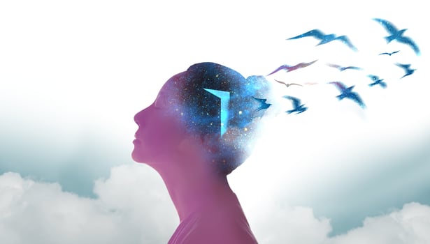 Mental Health, Freedom, Imagination and Creativity Concept. Silhouette photo of Woman combined with shape of Opened Door and Birds. Positive Mind, Peaceful, Enjoying and Life Philosophy