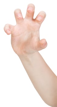 open claws palm close up - hand gesture photo