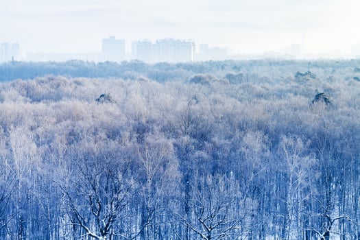 early morning over frozen urban park in winter photo