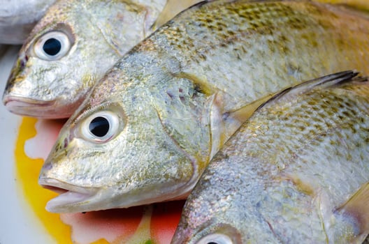 Fresh Fish for Seafood Cooking photo