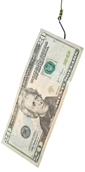 fishing with 20 dollars banknote lure on fishhook photo