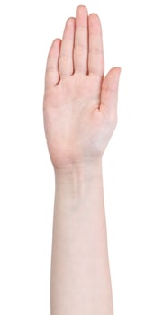 open five fingers together hand gesture photo