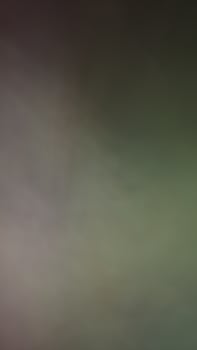 Abstract blur background with brown gray, black, white and Green. photo