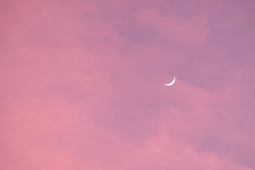 Half Moon in the morning on pink sky photo