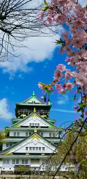 Landscape photo of Osaka Castle in spring, where there are still some cherry blossoms still in bloom.