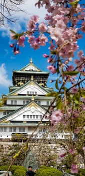 Landscape photo of Osaka Castle in spring, where there are still some cherry blossoms still in bloom.