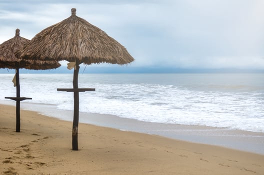 Background landscape with umbrella of palm leaves on the beach photo