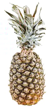 pineapple isolated on white background photo