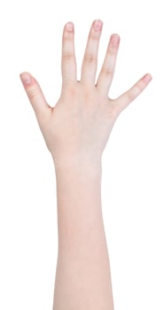 five fingers hand gesture isolated photo