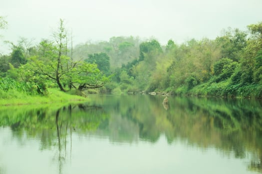 mountains, rivers, streams, forests photo