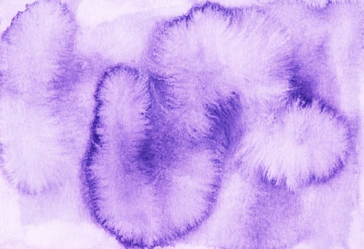 Watercolor lavender stains on white paper background. Hand painted photo