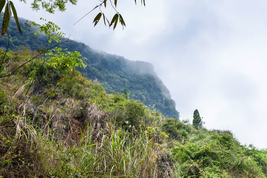 cloud on slope of karst peaks in Yangshuo photo