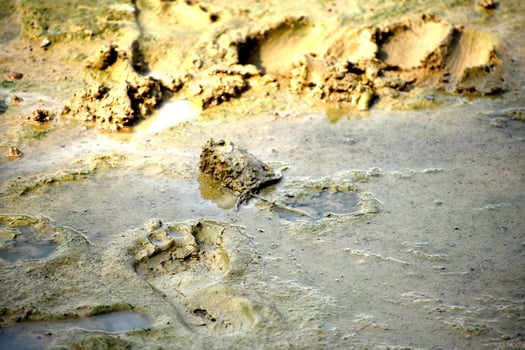 real view of soul mud photo