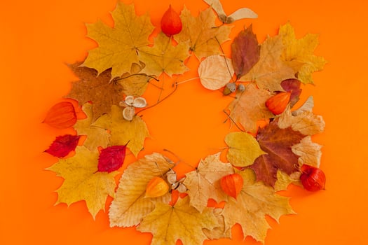 Dry leaves wreath frame on orange color background photo