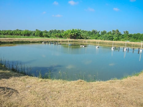 Outdoor fish or shrimp farming pond aeration system. photo