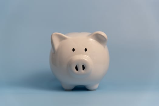 bank saving income financial banking investment profit money economy retirement planning budget earning fund business piggy white on background. photo