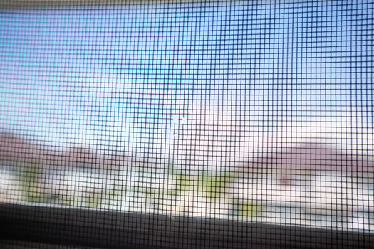 damaged mosquito net wire screen on house window protection against insect photo