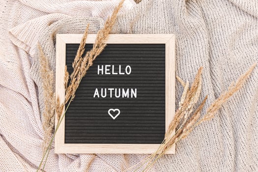 Autumnal Background. Black letter board with text phrase Hello Autumn and dried grass lying on white knitted sweater. Top view, flat lay. Thanksgiving banner. Hygge mood cold weather concept photo