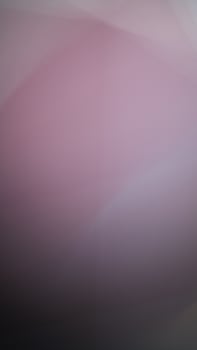 beautiful color gradation abstract, white-black-pink-deep purple tones, Wallpaper photo