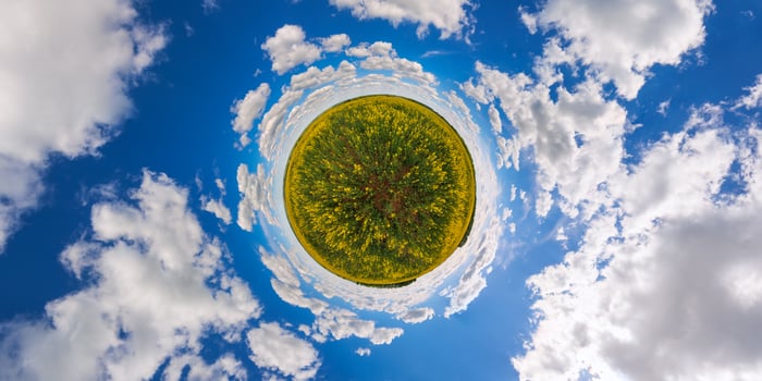 little planet projection of 360 degree spherical panorama of summer day blossomong yellow rapseed colza field photo