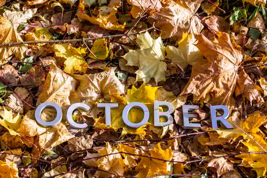 the word october laid with silver metal letters on the ground dry maple leaves photo