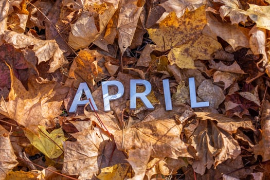 the word april laid with silver metal letters on the ground dry maple leaves photo