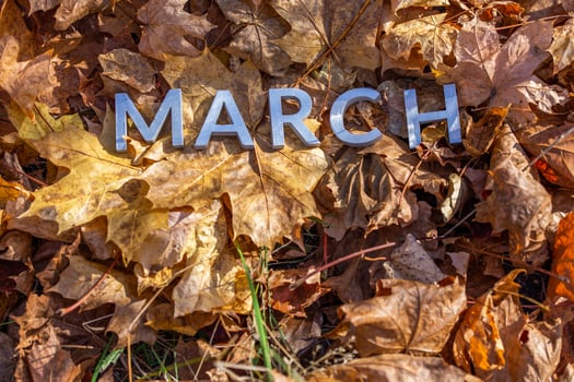 the word march laid with silver metal letters on the ground dry maple leaves photo