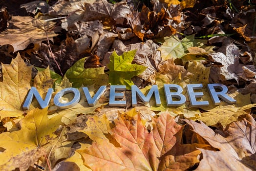 the word november laid with metal letters over yellow autumn fallen leaves - closeup with selective focus photo