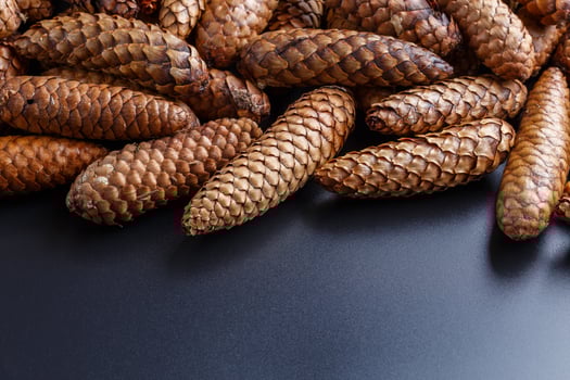 pile of fir cones on black plastic background photo