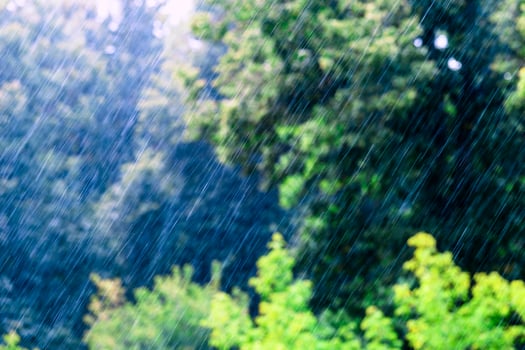 long and fast rain drops falling in green forest at sunny and windy conditions photo