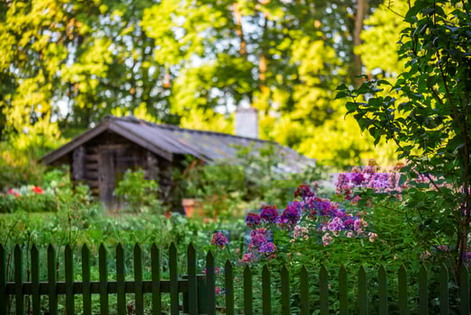 blurry garden background photo