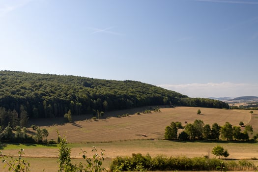 Landscape in East Hessen photo
