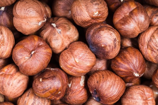dried raw hazelnuts close up photo