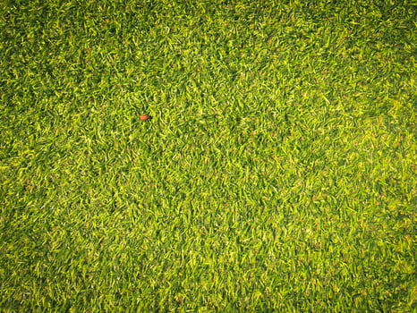 Beautiful green grass pattern from golf course for background. Copy space for work and design, Top view photo