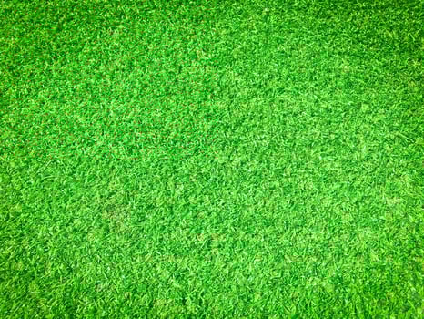 Beautiful green grass pattern from golf course for background. Copy space for work and design, Top view photo