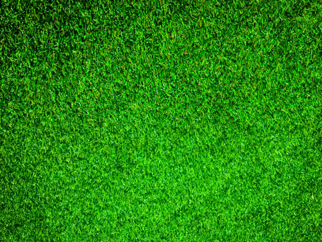 Closeup view of green grass soccer field background. Wallpaper for work and design. photo