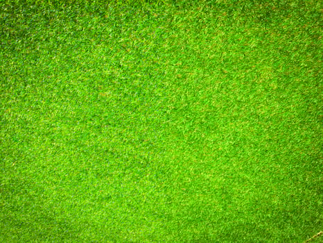 Closeup view of green grass soccer field background. Wallpaper for work and design. photo