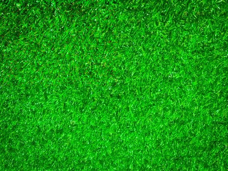 Top view of green grass texture background. Element of design. photo